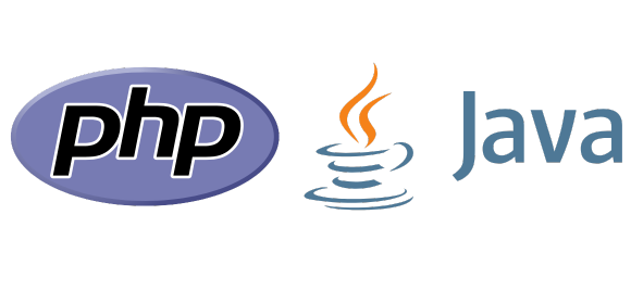 website development course institute in delhi