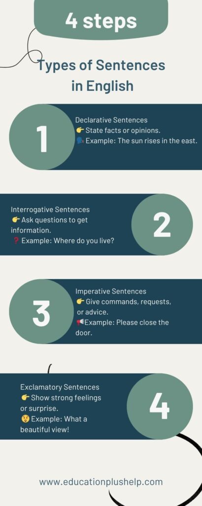 Infographic explaining four types of sentences in English with examples — declarative, interrogative, imperative, and exclamatory.